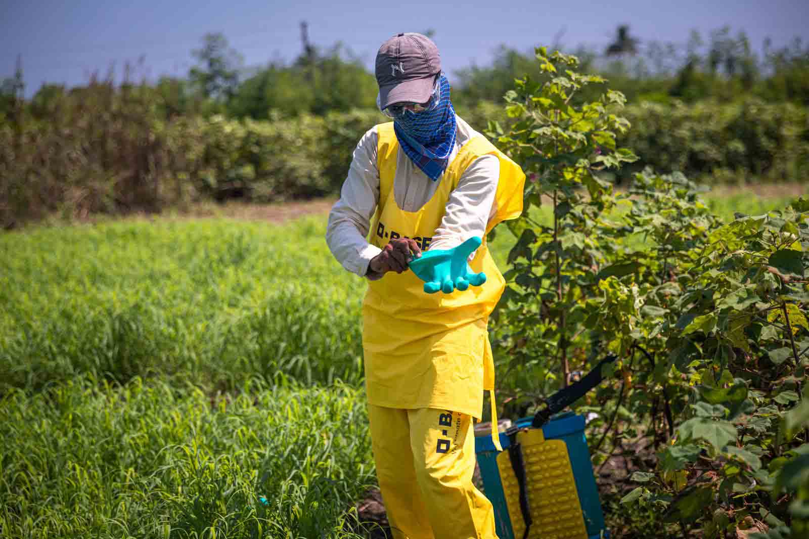 Botanical Pesticides and Their Role in Sustainable Crop Protection